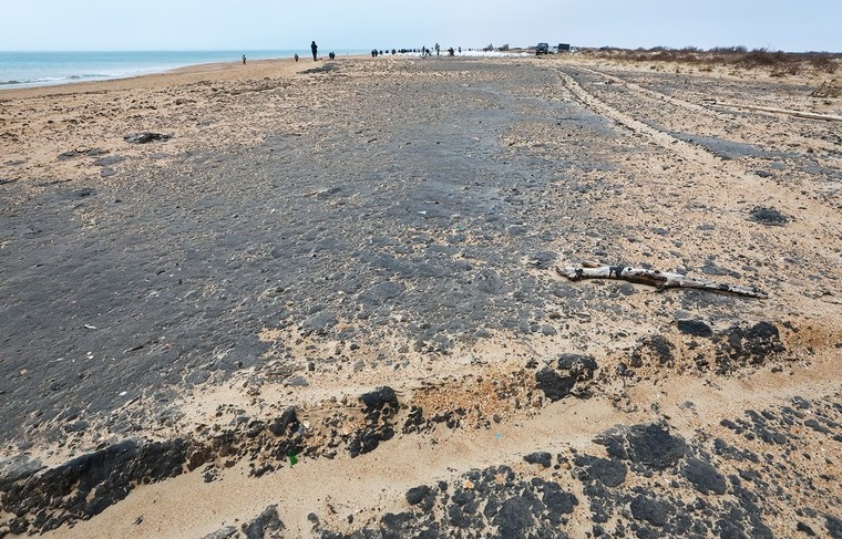    Алексей Белкин/NEWS.ru