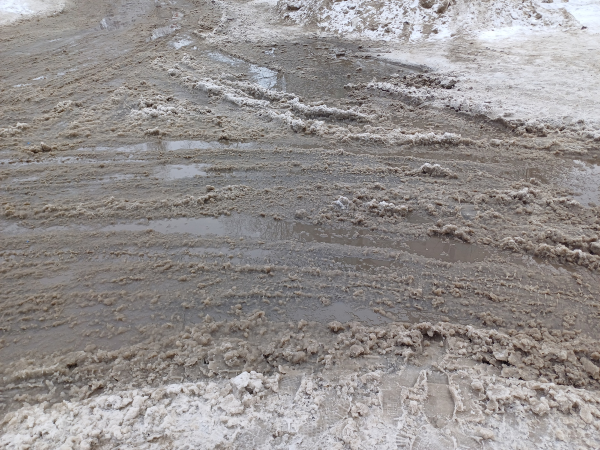 Вот такая у нас весна