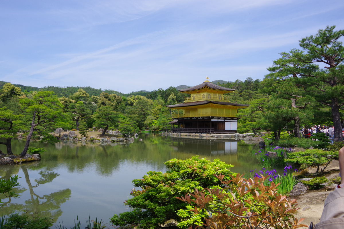 Даже самому не верится, что это реальное фото, а не работа ИИ