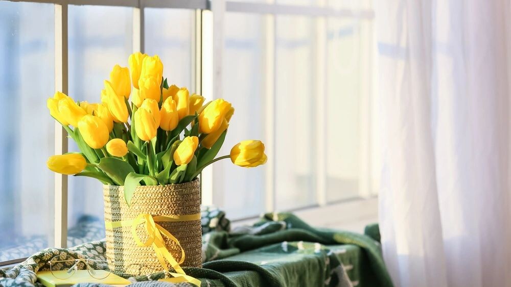    Фото: Pixel-Shot/Shutterstock/Fotodom