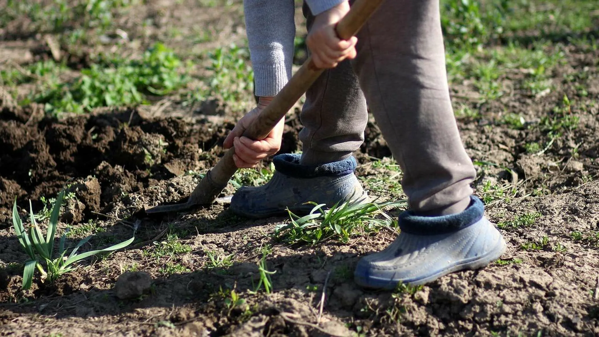 Меня это заставило задуматься: а действительно ли я трачу своё время и силы с пользой? 