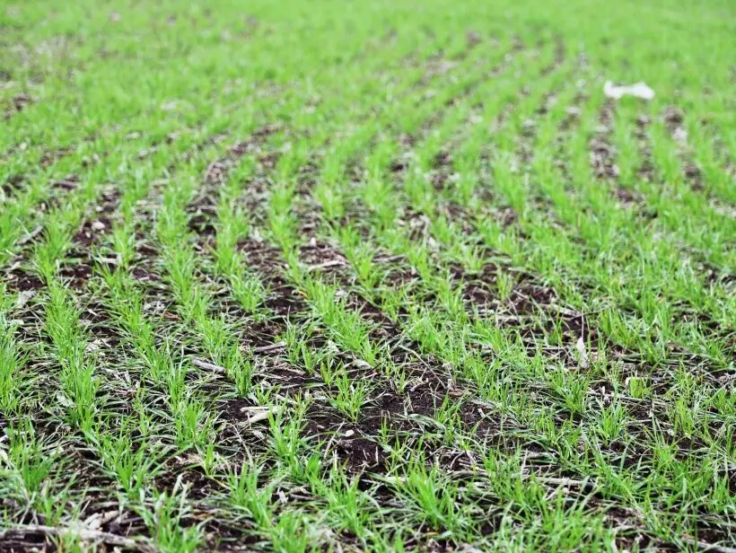     © РИА Новости. Сергей Аверин