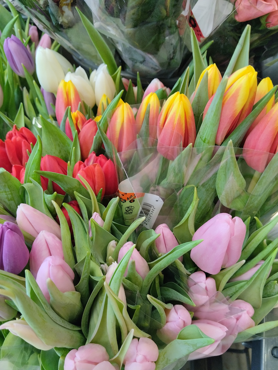 Прекраснее всех слов могут быть только цветы