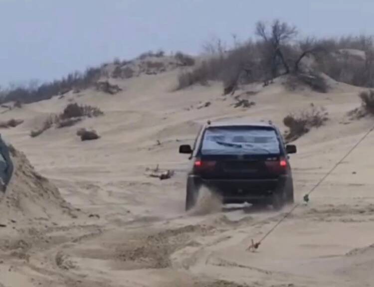    Фото: соцсети