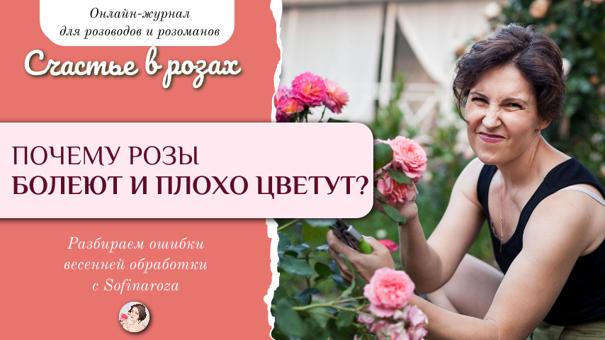«Счастье в розах», выпуск №16, 7 марта 2025г.