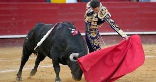 Современная коррида