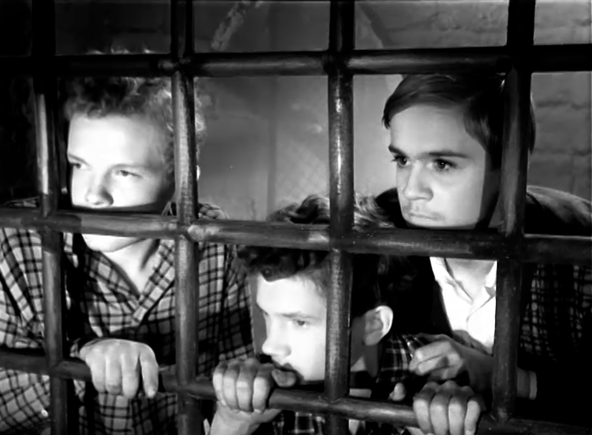 Кадр из фильма "Тени старого замка" (1966)