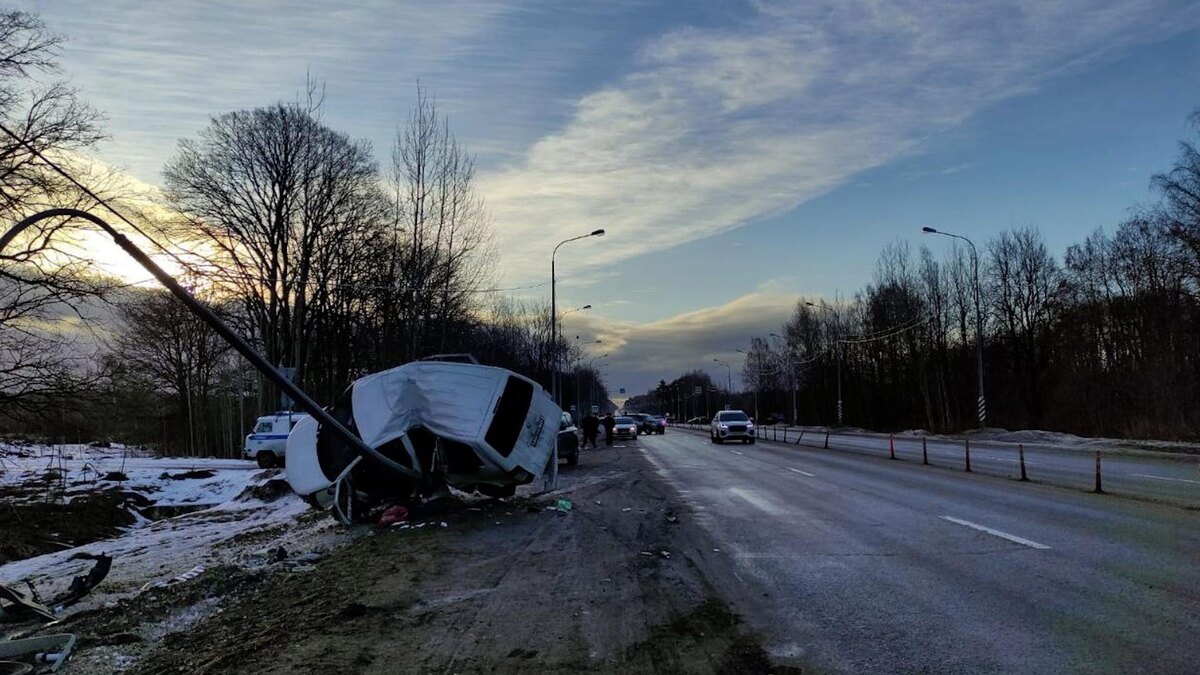    Фото: vk.com/dorinspb