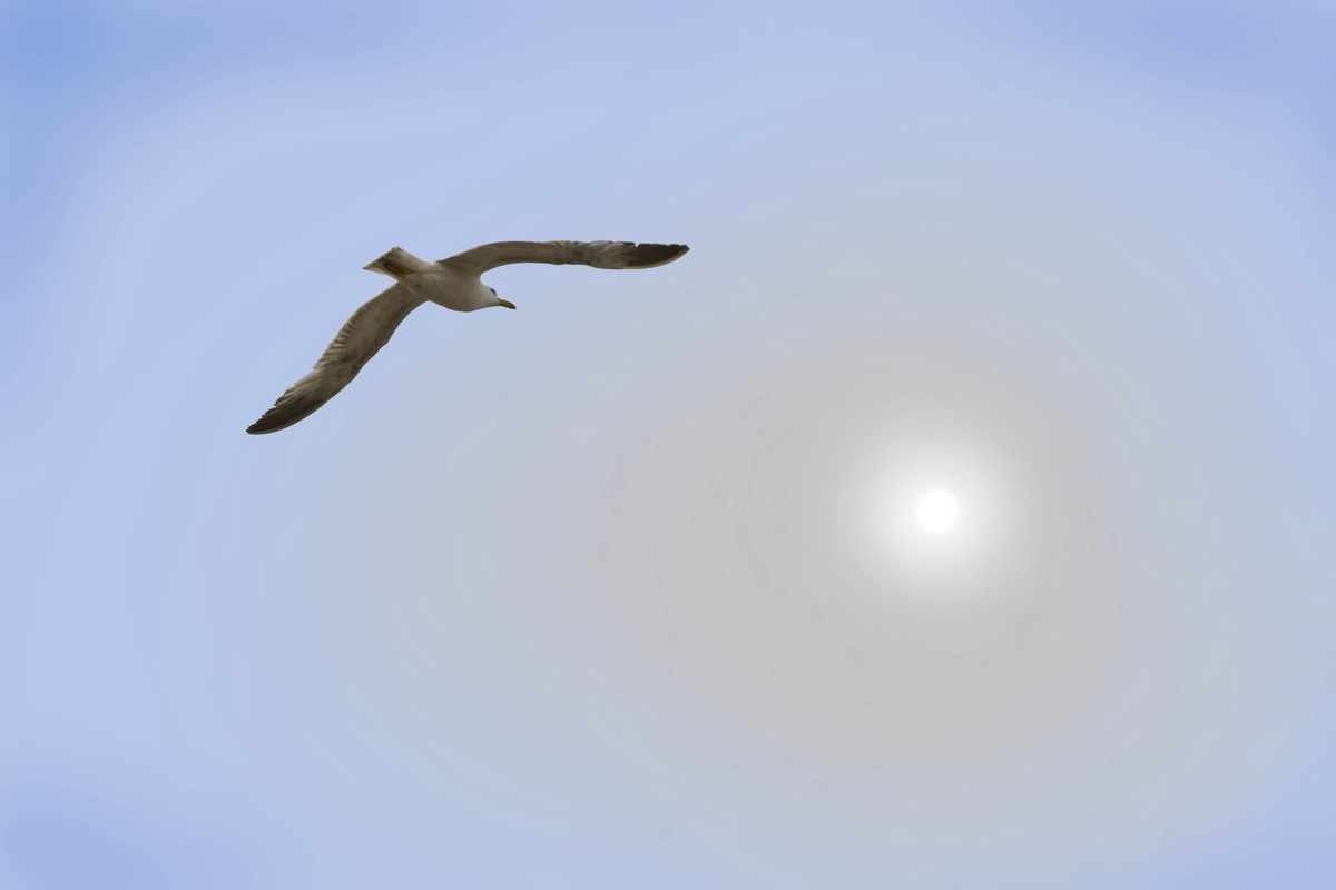 Начало дня. Все еще впереди