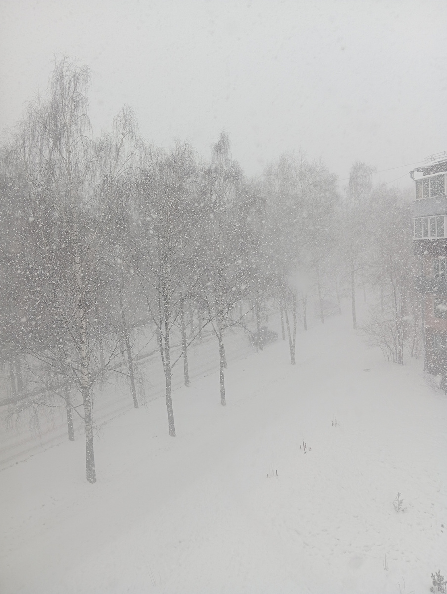 Снегопад. Вид из одного окна