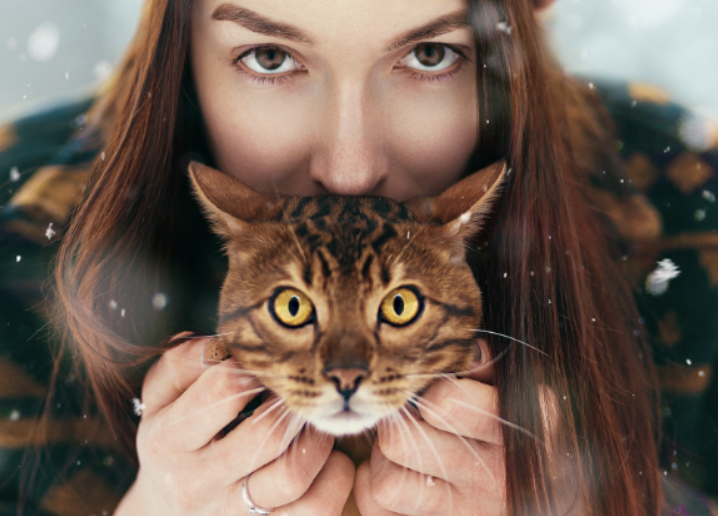 Когда котята начинают мурчать. Когда котята начинают мурчать