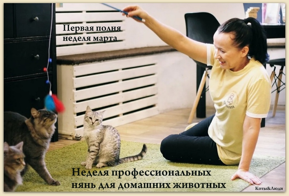 Коллаж автора