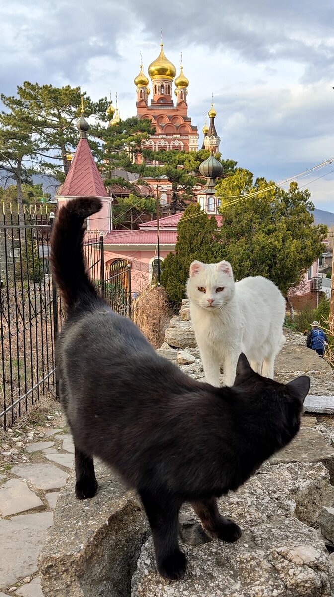 Битва света и тьмы 