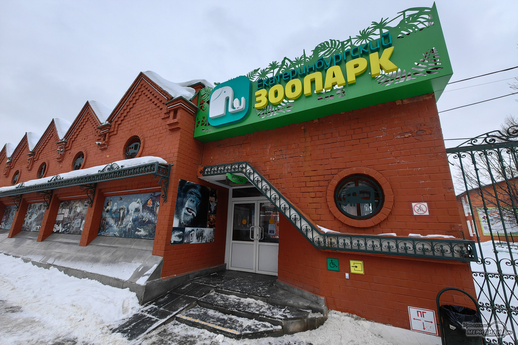    Фото: Лидия Аникина © ИА «Уральский меридиан»Фото: Лидия Аникина © ИА «Уральский меридиан»_cuva