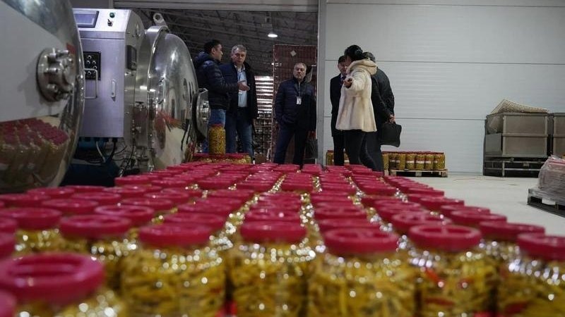    Фото: ДИП Свердловской области