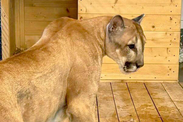 Московский зоопарк 