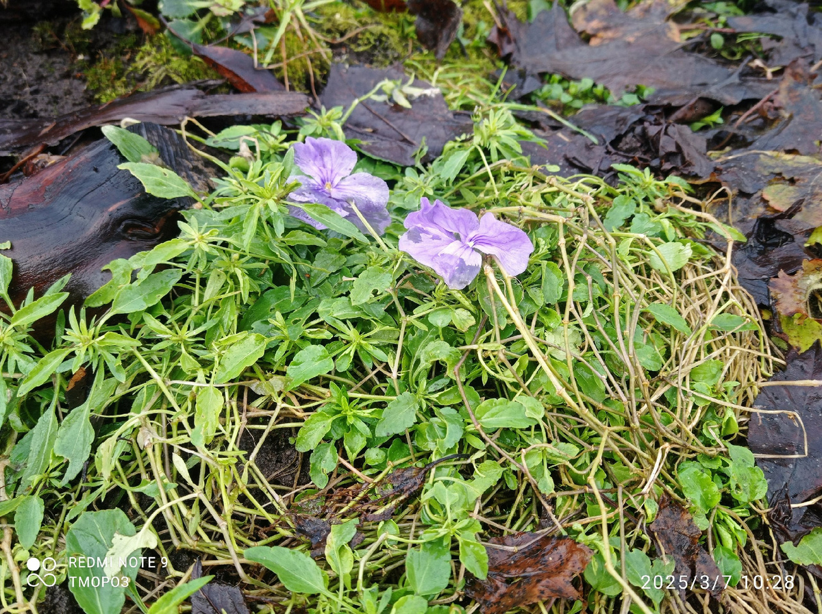 круглогодично