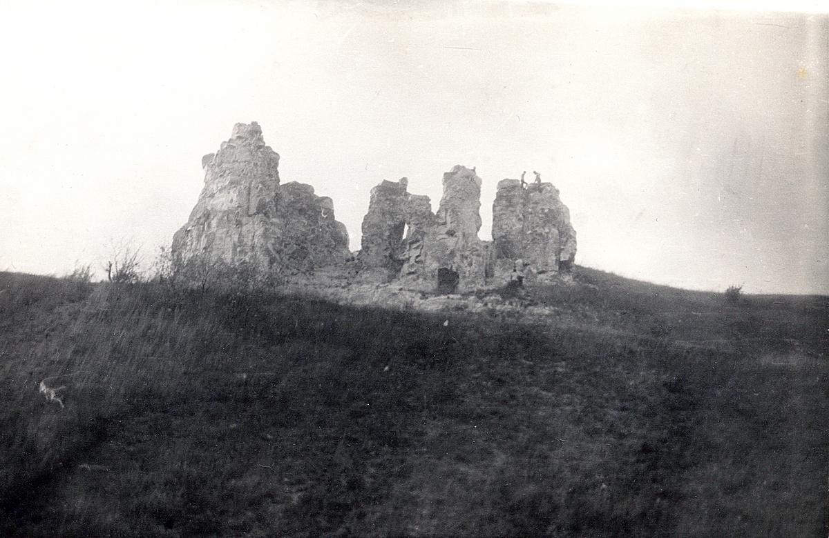 Большие Дивы. 1981 г.