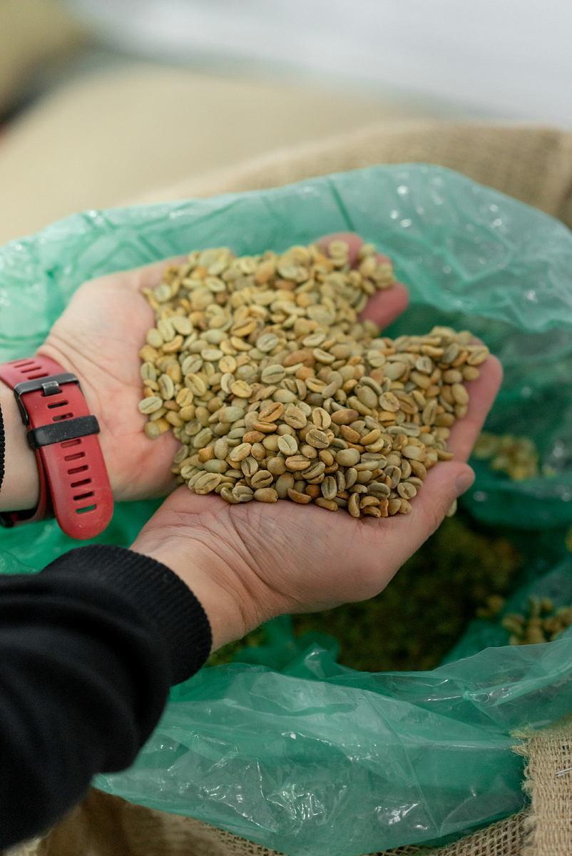 "Зелёное" зерно до обжарки