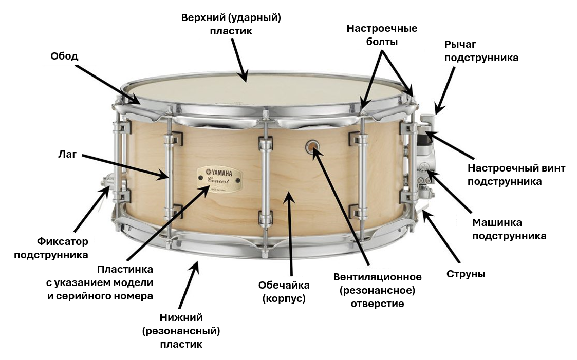Концертный малый барабан и его строение