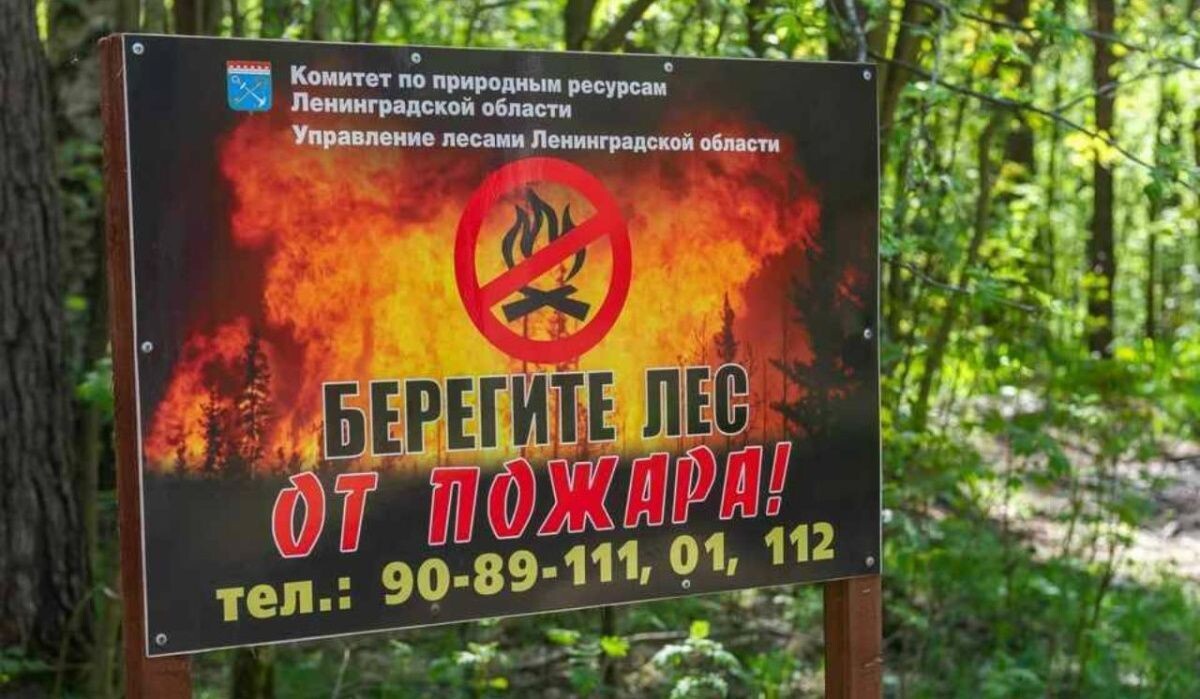     Табличка. Источник: kp.ru Автор фото: Олег Золото