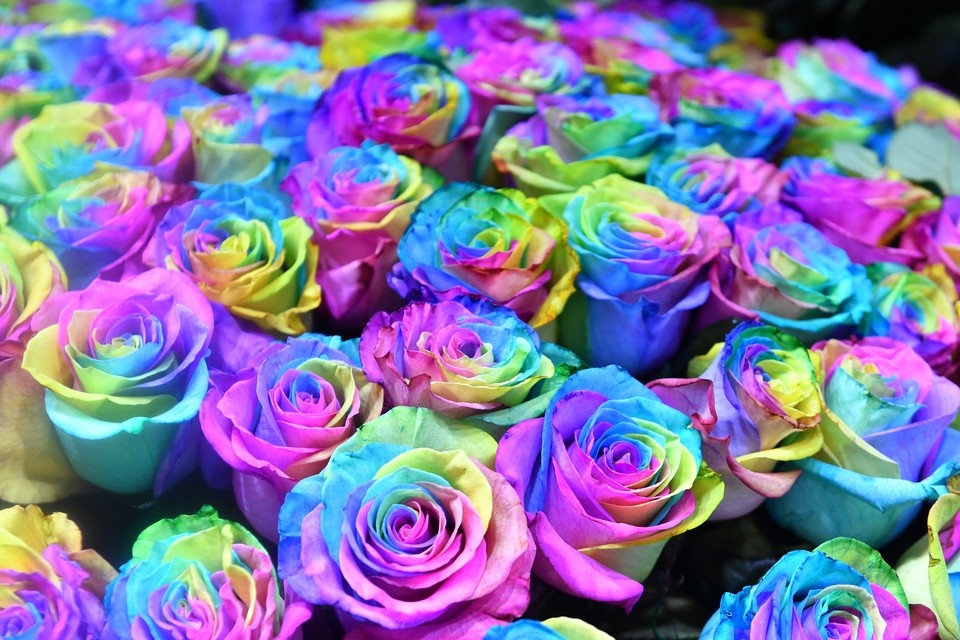    Фото: Макеев Иван, "Комсомольская правда"