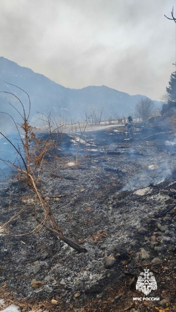    Крупный ландшафтный пожар в Республике Алтай. Источник: МЧС Республики Алтай