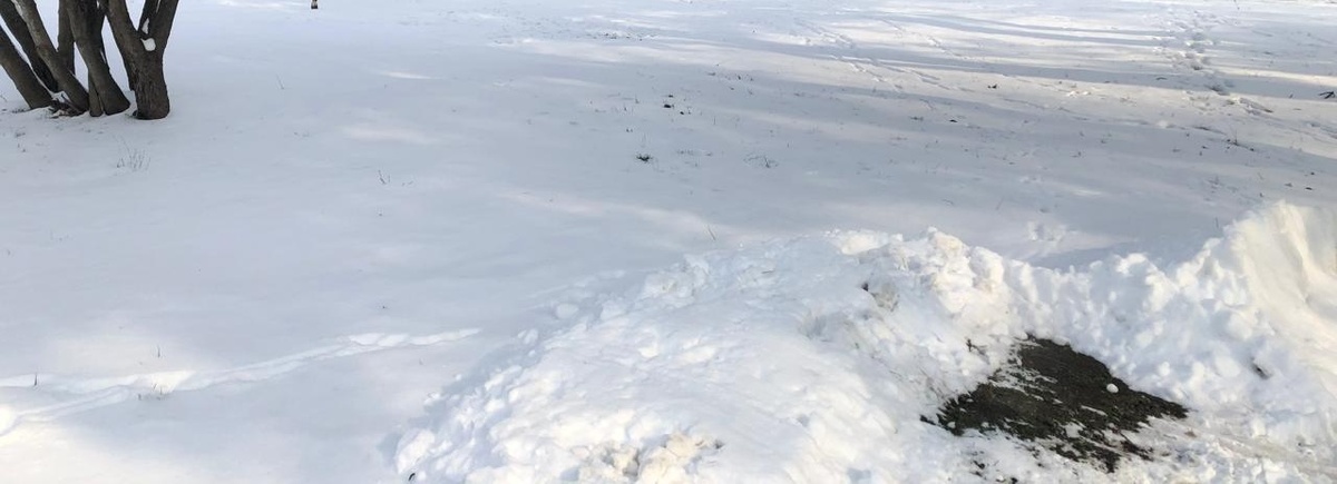 Долгожданный снеговой покров