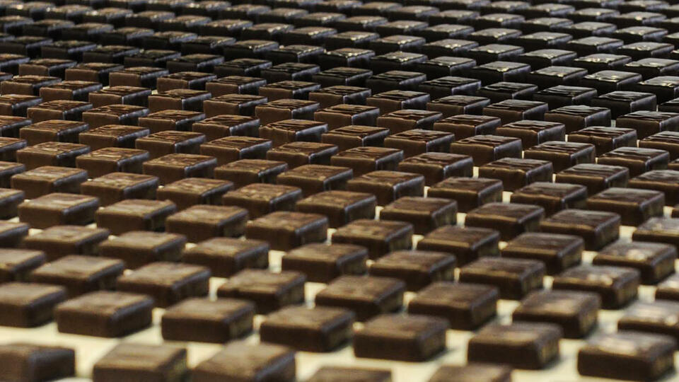 Фото: © Global Look Press/Pravda Komsomolskaya/Russian Look