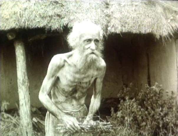 Из открытых источников сети Интеренет