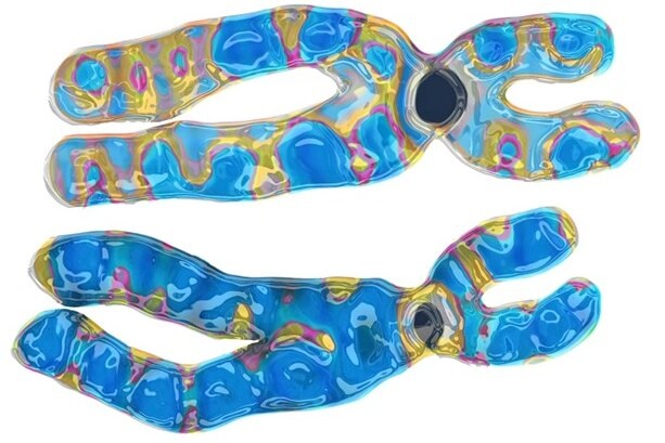     Почему женщины живут дольше мужчин? Им помогает вторая X-хромосома