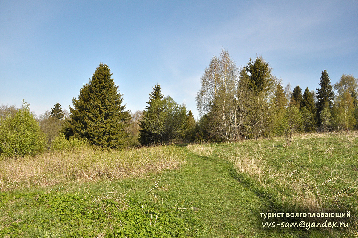 Фото 19.05.2014.