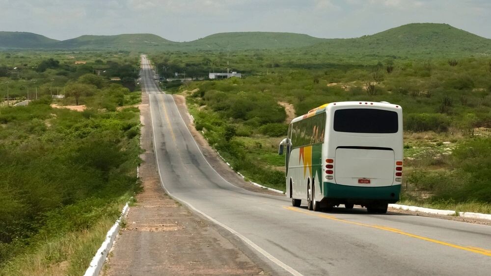    Фото: Cacio Murilo/Shutterstock/Fotodom