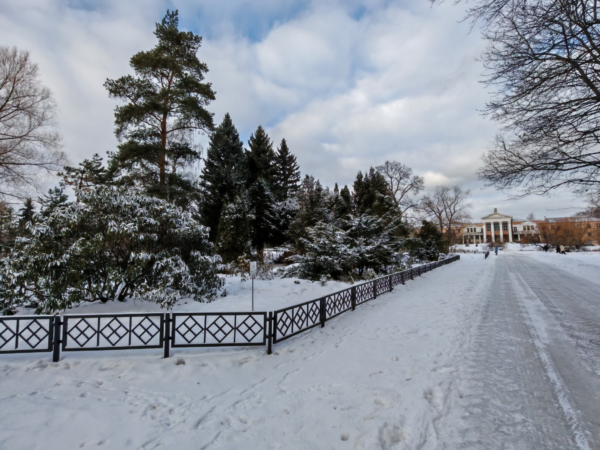 Ботанический сад РАН