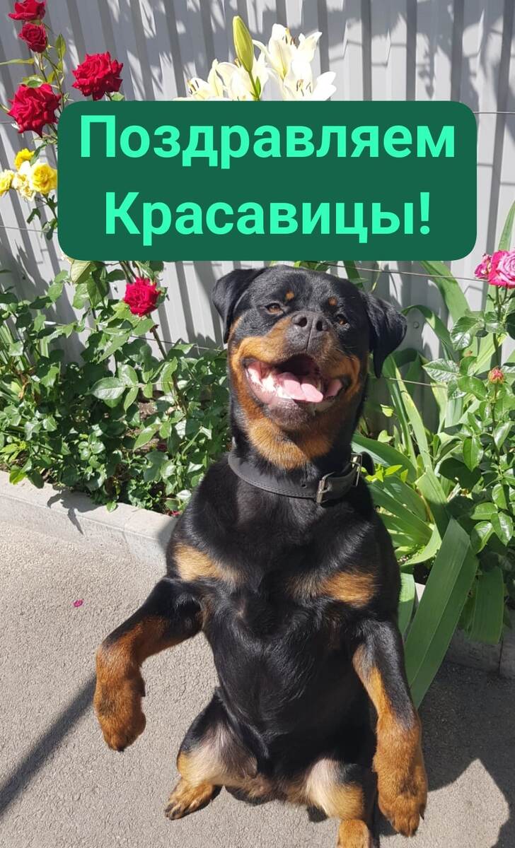 От Всей души!