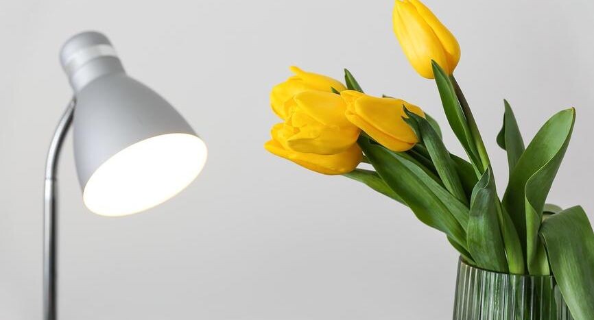     Pixel_shot / Фотобанк Лори