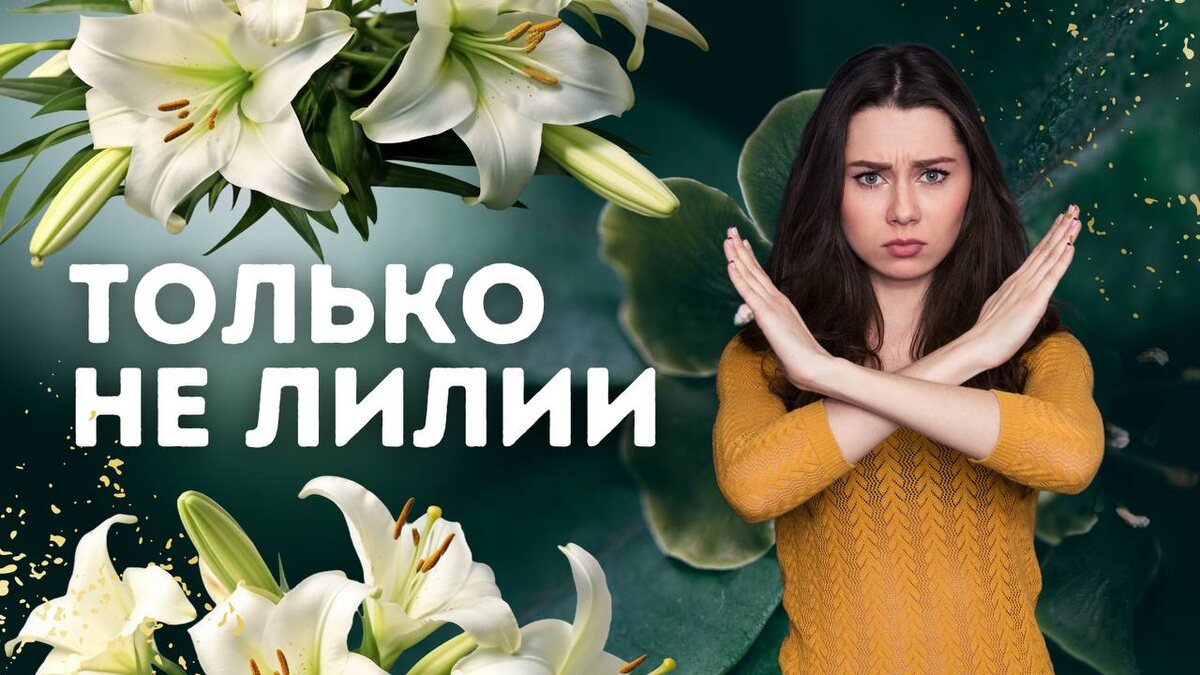 Можно собрать целый мудборд на пинтерест