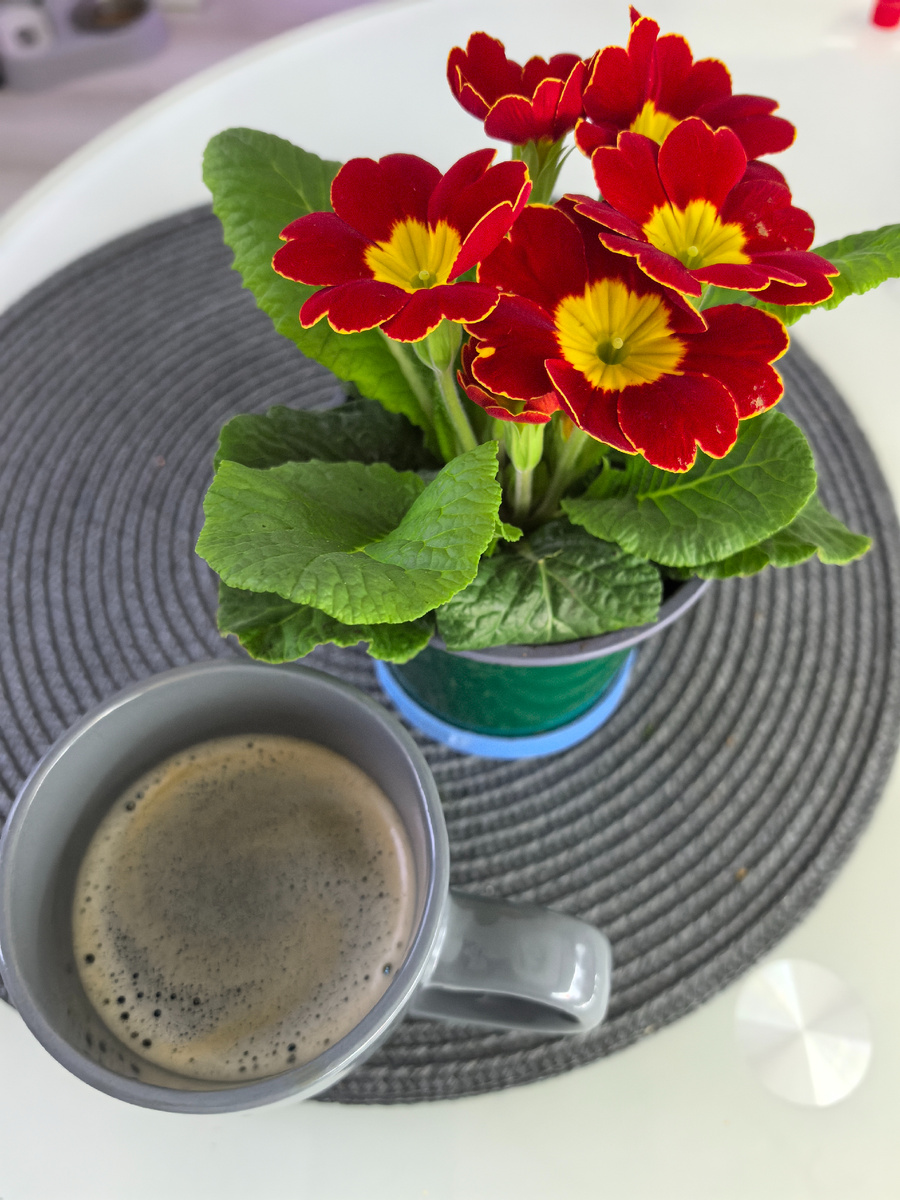 Без кофе никуда