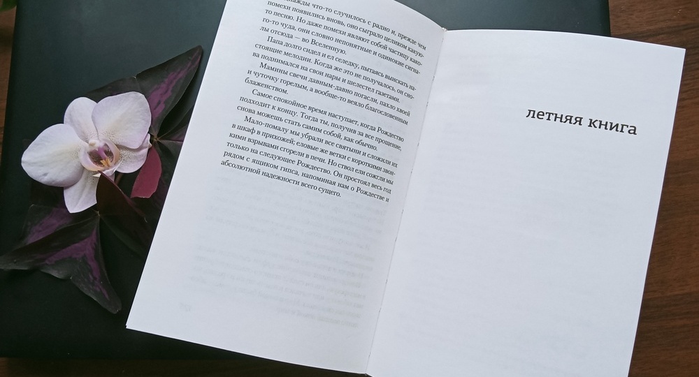 Книги с запоминающимися и неоднозначными женскими персонажами