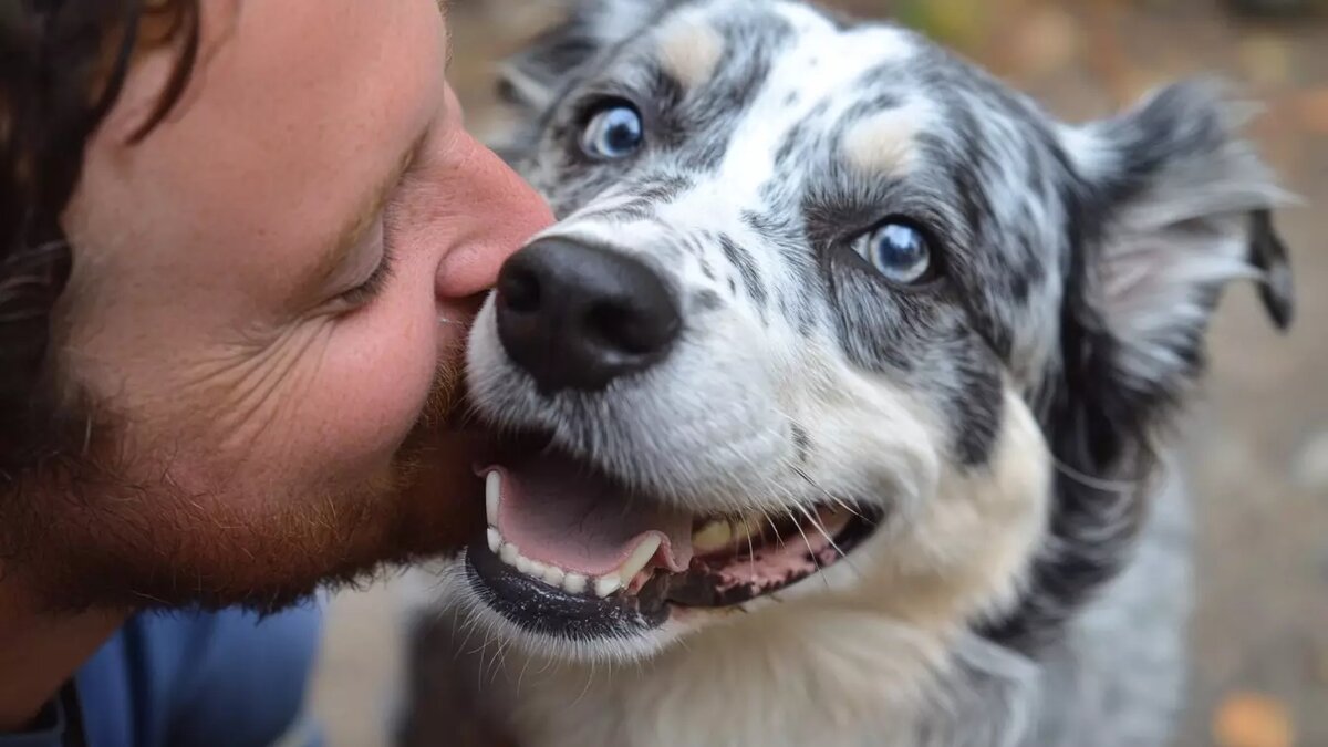     Источник: Изображение Midjourney