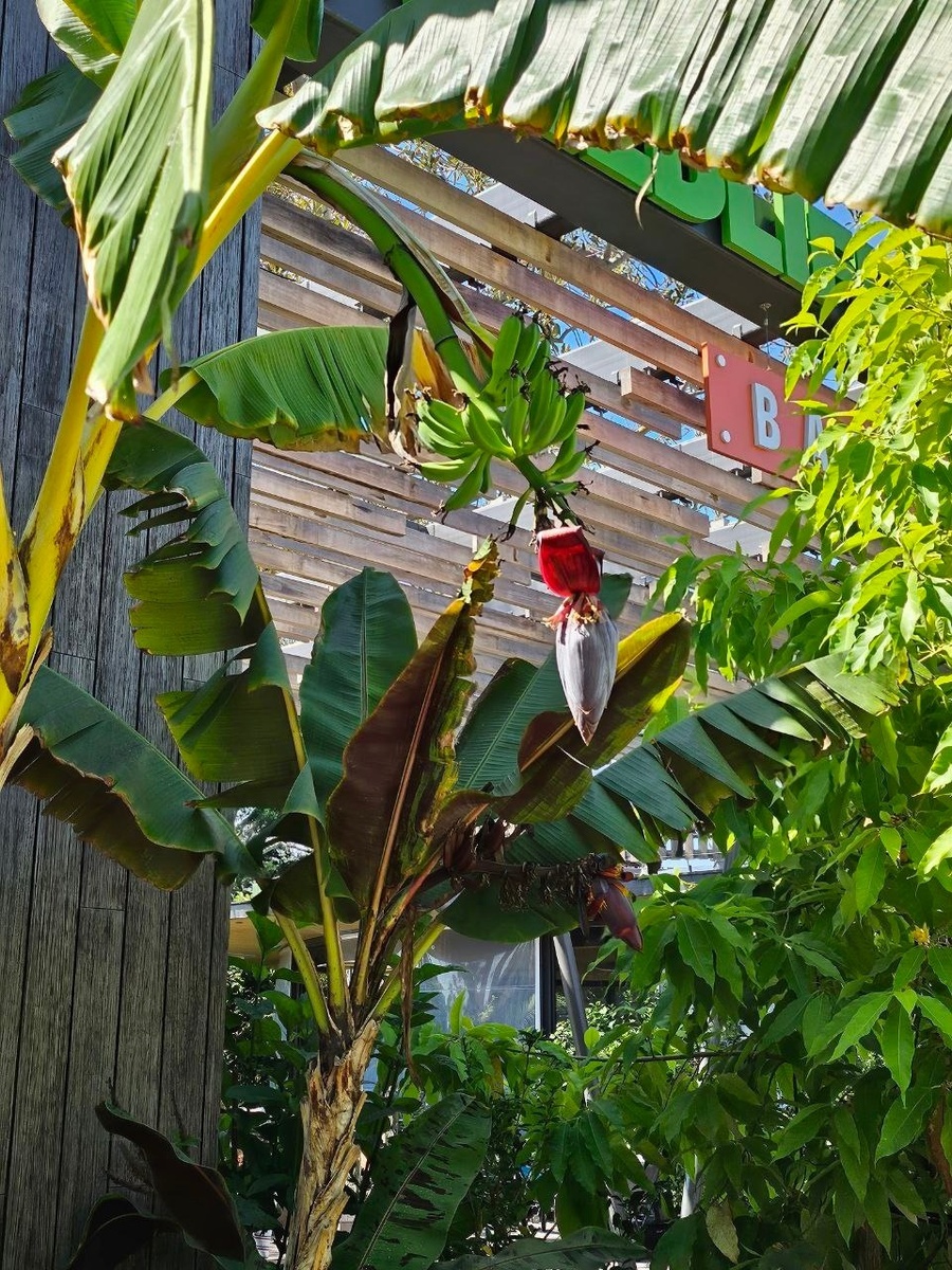 San Diego Zoo