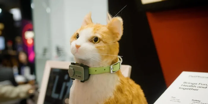 Фото: Android Authority