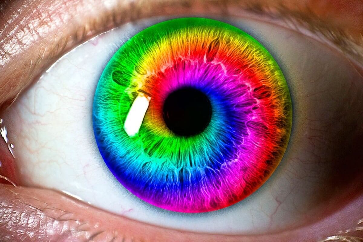    Нам кажется, что мир очень цветной, но на самом деле мы видим лишь небольшой его спектр. Изображение: Очков.Нет