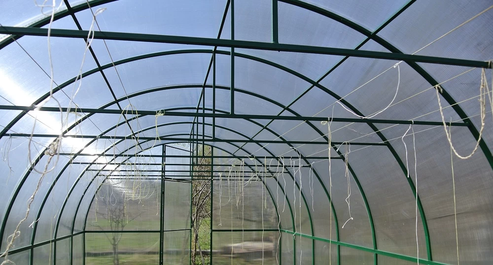 Конечный результат: теплица из поликарбоната