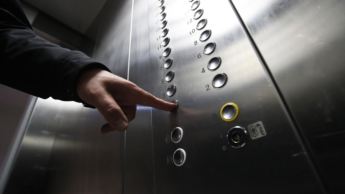    Фото: ИЗВЕСТИЯ/Александр Казаков