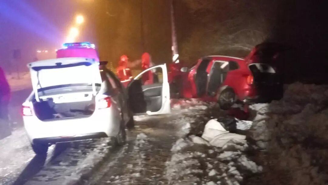     Источник: Отряд противопожарной службы по Пудожскому району