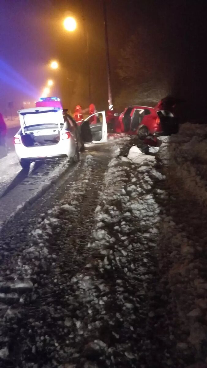     Источник: Отряд противопожарной службы по Пудожскому району