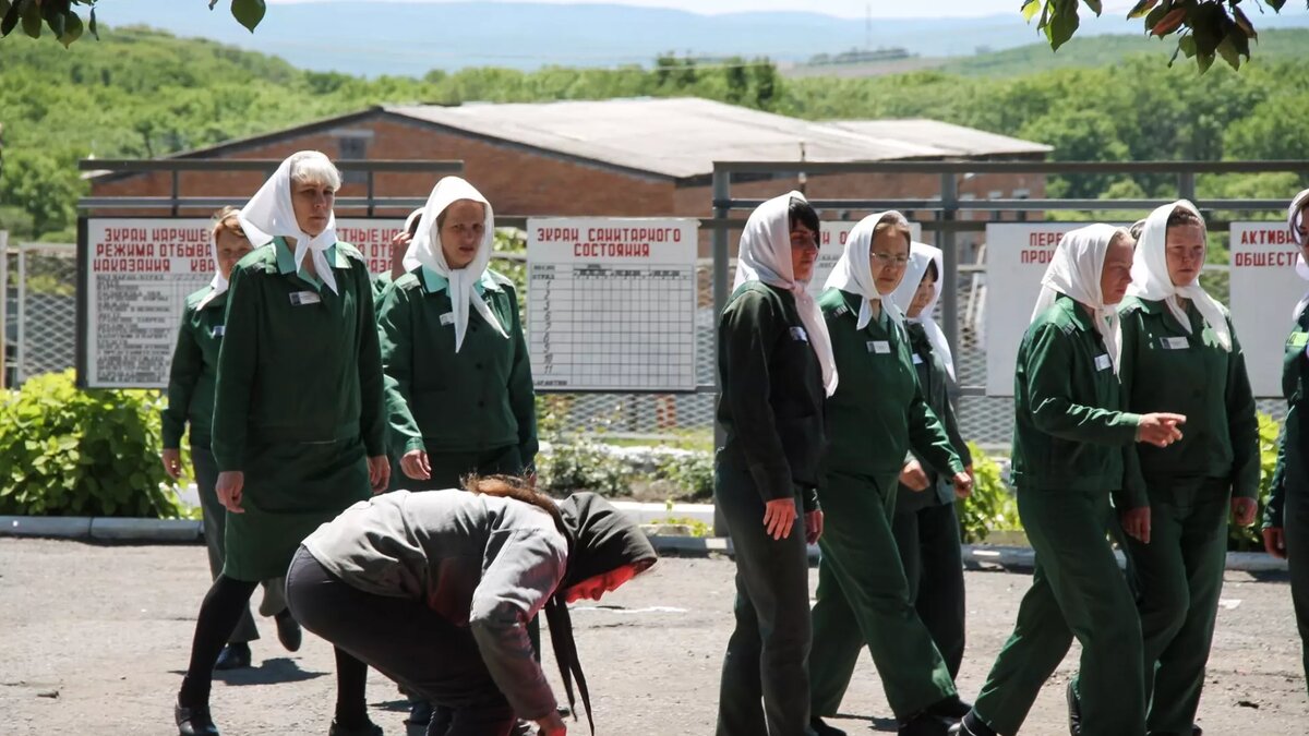     Источник: 1MI