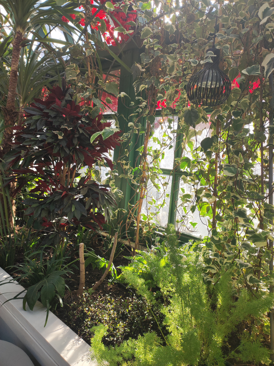 Павильон Активного гражданина на Тверской) Надоели больницы.