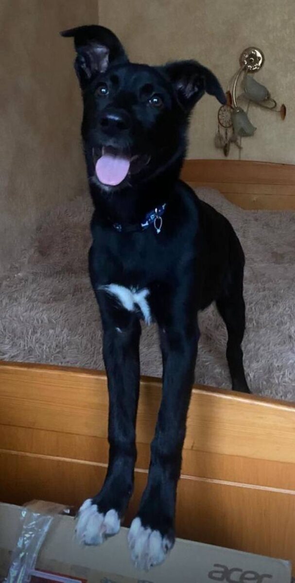 Когда-то ведь надо начинать;)